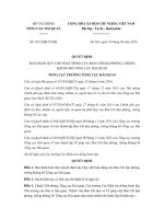 quyet dinh 1012 qd tchq quy che hoat dong cua ban chi dao phong chong khung bo tong cuc hai quan 2016