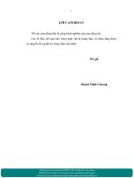 Phát triển chăn nuôi bò thịt trên địa bàn tỉnh Kon Tum