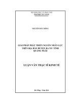 Giải pháp phát triển nguồn nhân lực trên địa bàn Huyện Ba Tơ Tỉnh Quảng Ngãi .