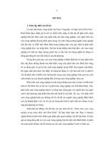 Phát triển cụm công nghiệp trong nông thôn tỉnh Bình Định.