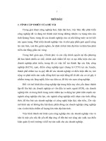 Phát triển cụm công nghiệp Tây An trên địa bàn huyện Duy Xuyên