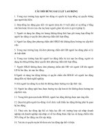 CÂU HỎI ĐÚNG SAI LUẬT LAO ĐỘNG