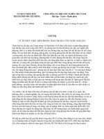 Chỉ thị 03 2013 CT-UBND - Tổ chức thực hiện phong trào thi đua yêu nước do thành phố Hồ Chí Minh ban hành