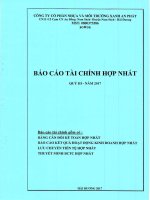 BCTC quy III 2017 CTY hop nhat