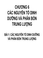 Chương 6   Các nguyên tố dinh dưỡng và phân bón trung lượng