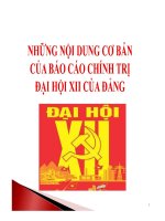 BAO CAO CHINH TRI DAI HOI XII