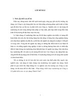 Tiểu luận hoạt động marketing tại công ty CP kiến trúc và xây dựng thành vinh