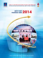 Báo cáo thường niên :: PV GAS SOUTH JSC