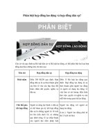 phan biet hop dong lao dong va hop dong dan su