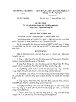 Quyết định số 261 QĐ-TTG - Về việc bổ nhiệm thành viên Hội đồng quản trị Công ty mẹ - Tập đoàn Sông Đà