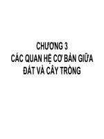 Chương 3   Các quan hệ cơ bản giữa đất và cây trồng