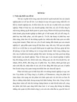 Phân tích các nhân tố ảnh hưởng đến hiệu quả hoạt động sau cổ phần hoá tại tổng công ty cổ phần y tế Danameco