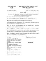 quyet dinh 03 2017 qd ktnn quy dinh lap tham dinh va ban hanh ke hoach kiem toan