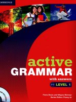Active grammar 1 without answers