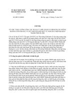 Chỉ thị 19 2012 CT-UBND - Bình ổn giá những tháng cuối năm 2012 và Tết Nguyên đán Quý Tỵ năm 2013 trên địa bàn thành phố Hà Nội