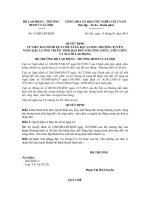 Quyet dinh 51 QD LDTBXH quy che nang bac luong thuong xuyen truoc han voi nguoi lao dong