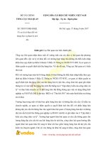 cong van 5383 tchq gsql ve xu ly to khai doi voi hang hoa vi pham bi tich thu