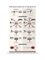 phan biet toi cuop tai san va cuop giat tai san