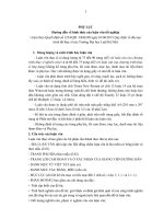 PHỤ LỤC Hướng dẫn về hình thức của luận văn tốt nghiệp