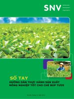 Sổ tay hướng dẫn thực hành sản xuất nông nghiệp tốt chi chè búp tươi