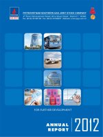 Báo cáo thường niên :: PV GAS SOUTH JSC