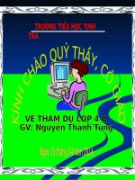 Bài 28. Kinh thành Huế
