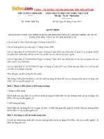 quyet dinh 19 2017 qd ttg co che tai chinh thi diem cac du an su dung von oda nganh y te