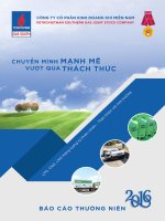 Báo cáo thường niên :: PV GAS SOUTH JSC