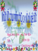 Bài 1. Trung thực trong học tập