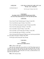 Nghị định số 70 2010 NĐ-CP: Quy định và hướng dẫn thi hành một số điều của Luật Năng lượng nguyên tử về Nhà máy điện hạt nhân