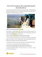 tu 01 11 2017 ap dung quy dinh xu phat khong dong quy phong chong thien tai