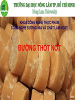 tài liệu đường thốt nốt 