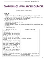 Giáo án khoa học 4 cả năm  theo chuẩn KTKN