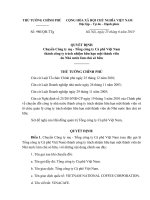 Quyết định số 980 QĐ-TTG - Chuyển Công ty mẹ - Tổng công ty Cà phê Việt Nam thành công ty trách nhiệm hữu hạn một thành viên do Nhà nước làm chủ sở hữu