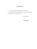 Phát triển ngành chế biến gỗ Tỉnh Bình Định.