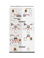 phan biet toi hiep dam tre em va giao cau voi tre em