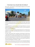 vat nuoi gay tai nan chu phai chiu trach nhiem gi