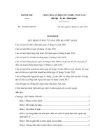 nghi dinh 135 2015 nd cp quy dinh ve dau tu gian tiep qua nuoc ngoai