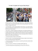 cac hanh vi bi nghiem cam trong giao thong duong bo