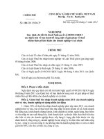 Nghị định số 101 2011 NĐ-CP quy định thi hành Nghị quyết số 08 2011 QH13 của Quốc hội