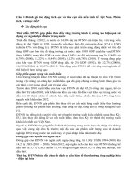 ôn tập luật đầu tư tại việt nam 