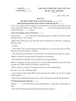 mau bao cao hoat dong cua ban thanh tra nhan dan