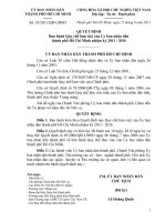 Quyết định số 55 2011 QĐ-UBND - Ban hành quy chế làm việc của Ủy ban nhân dân TP Hồ Chí Minh