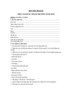 mau bao cao thuc tap su pham mam non