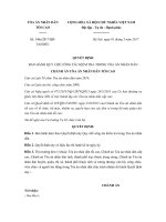 quyet dinh 346a 2017 qd tandtc ban hanh quy che cong tac kiem tra