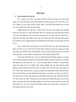 Xây dựng chương trình truyền thông marketing tích hợp cho thương hiệu COSEVCO tại tổng công ty Miền Trung.