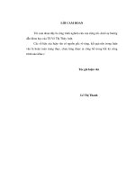 Vận dụng mô hình CAPM trong đo lường rủi ro hệ thống của các cổ phiếu ngành dược niêm yết trên HOSE