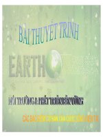 bài thuyết trình môi trường và phát triển bền vững