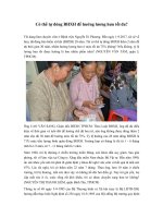 co the tu dong bhxh de huong luong huu toi da