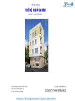 Thiet ke nha ong nha pho 8x6m ktshanoi